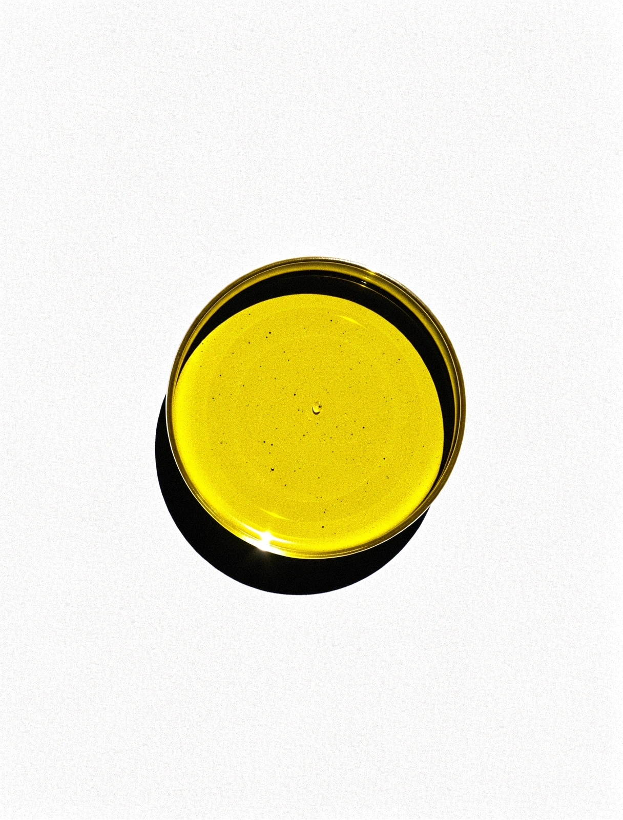 Raw Ingredients Texture