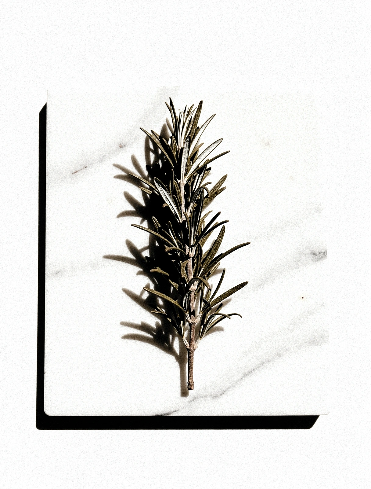 Diatrofi Ygia Nutritional Authority